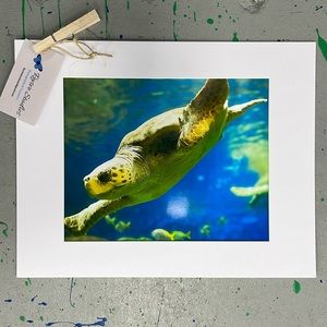 California Sea Turtle photograph